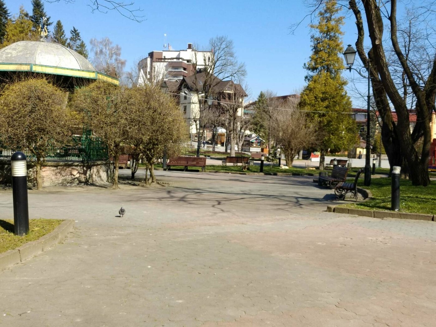 Трускавецьким голубам COVID-19 не страшний: Фотоогляд каран..., фото-8 Трускавецьким голубам COVID-19 не страшний: Фотоогляд карантинного парку, фото-8